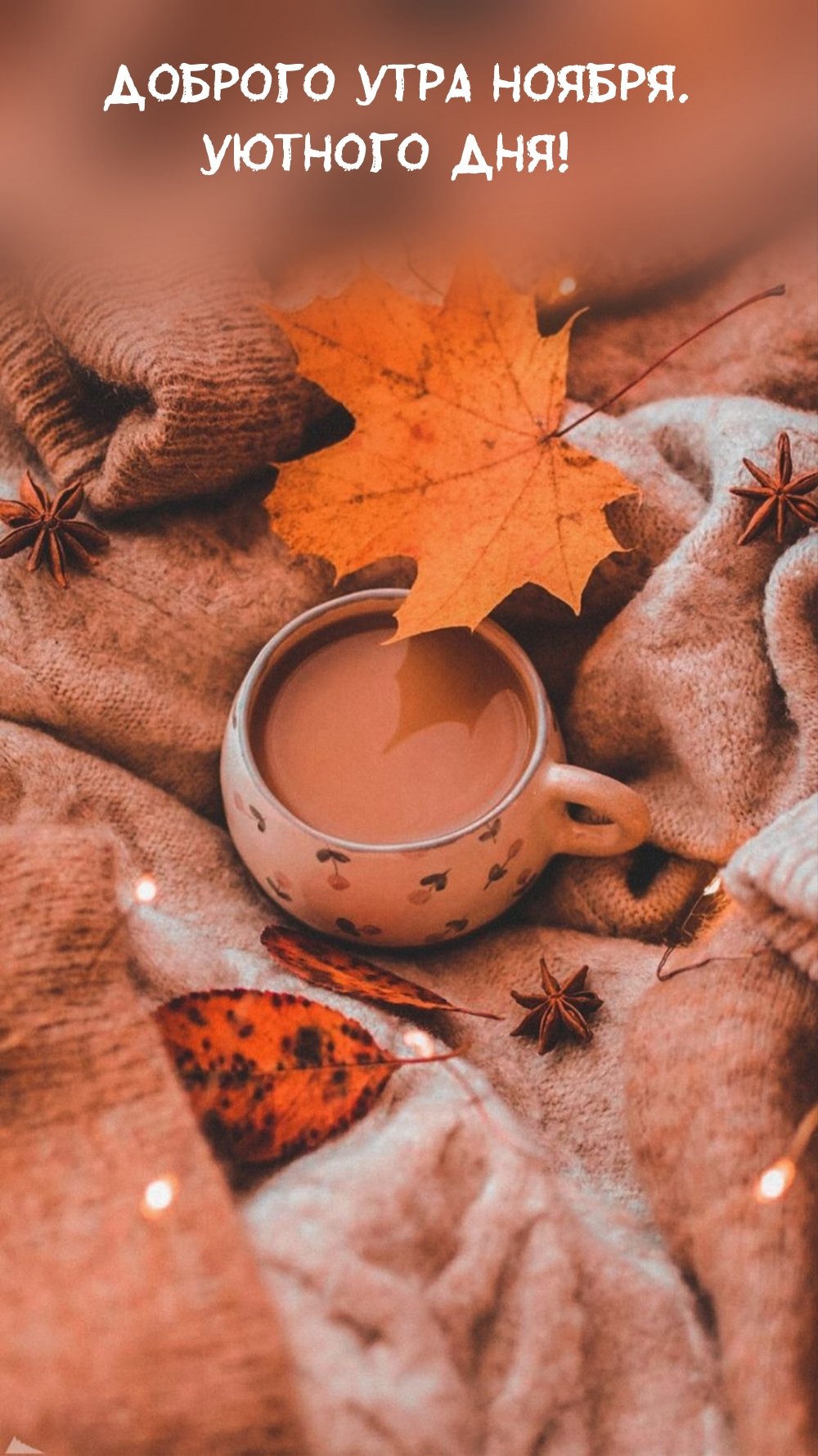 Ноябрь уютные обои макро