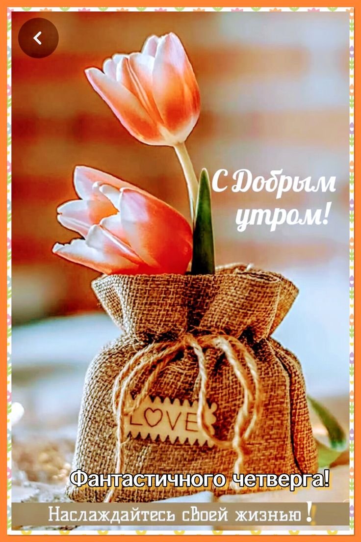 Инстаграм картинки с пожеланиями