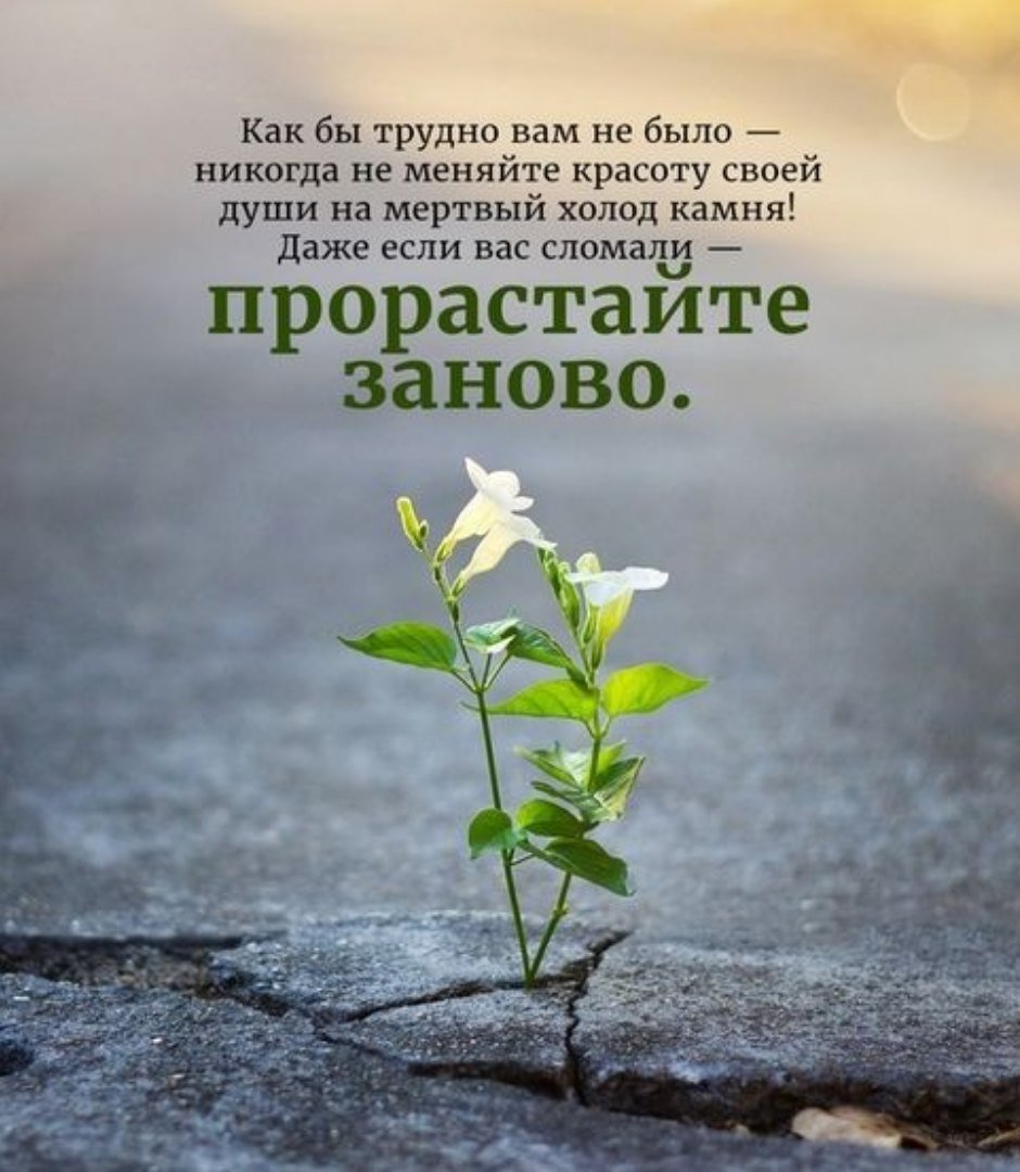 Позитивные цитаты