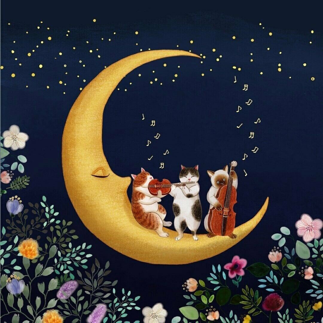 Доброй ночи