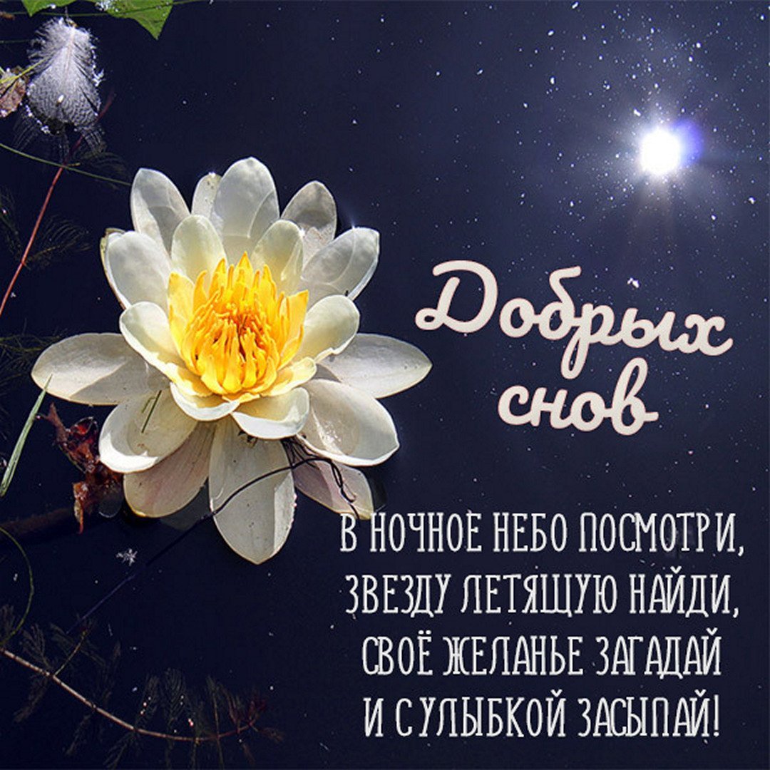 Пожелания спокойной ночи осенние и красивые