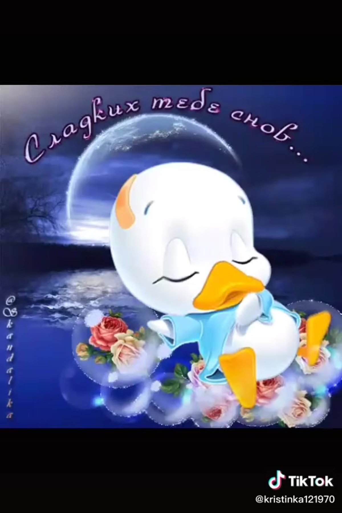 Спокойной ночи родные и любимые