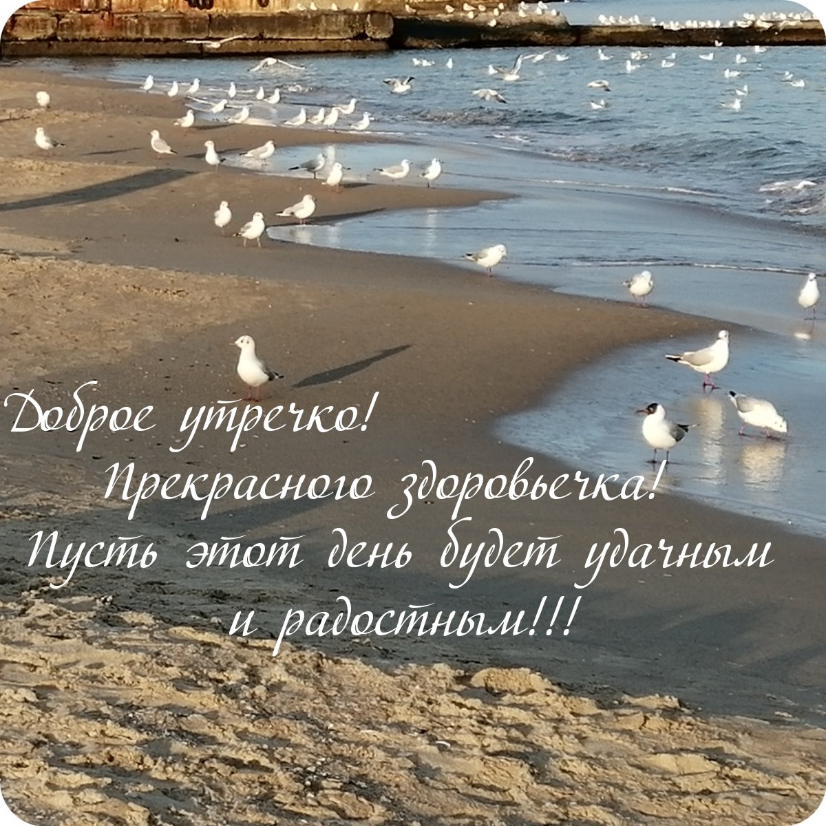 Красивое поздравление с зимним утром