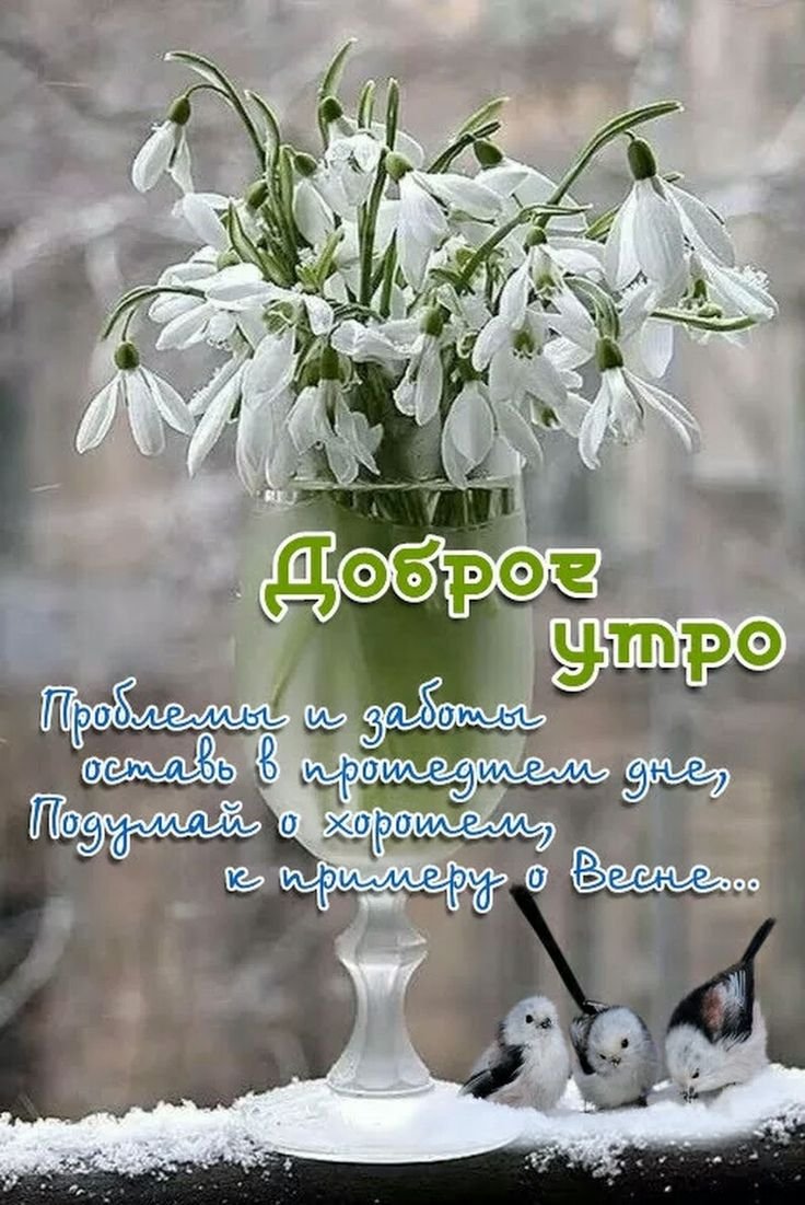Прикольные поздравления с добрым утром зимние