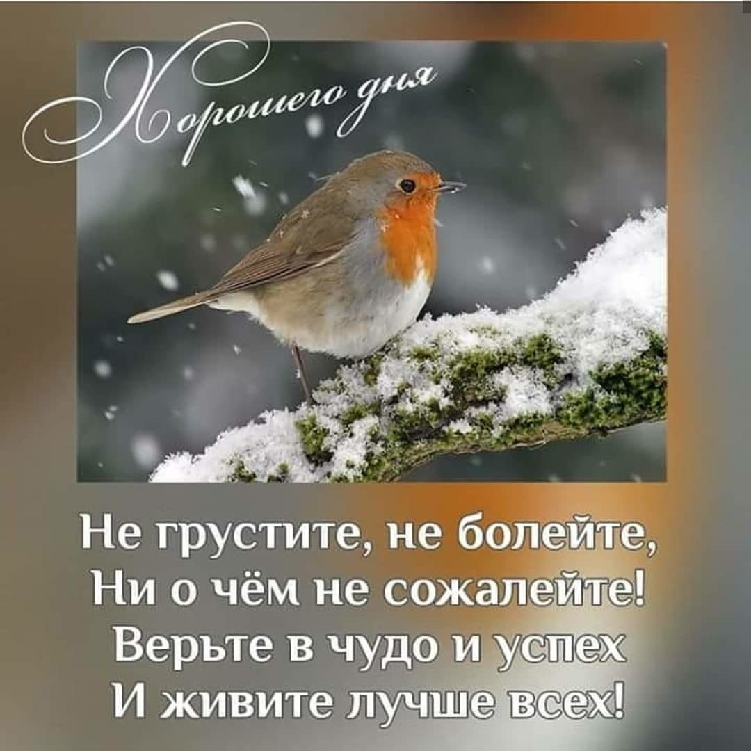 Цитаты про новый год