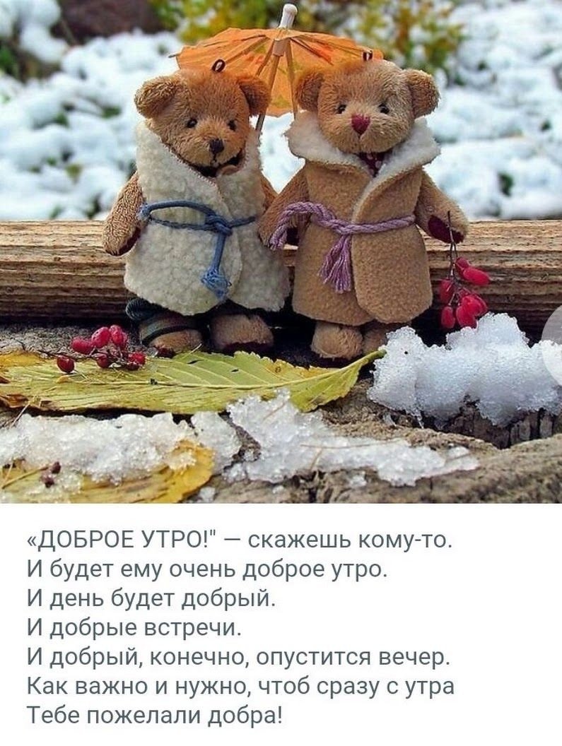Цитаты про утро