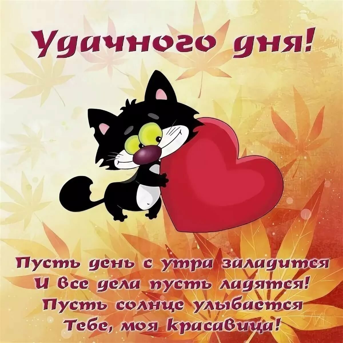 Доброе утро вторника