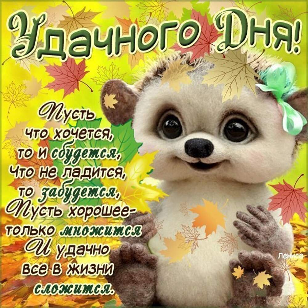 МС длбрым утром любимый