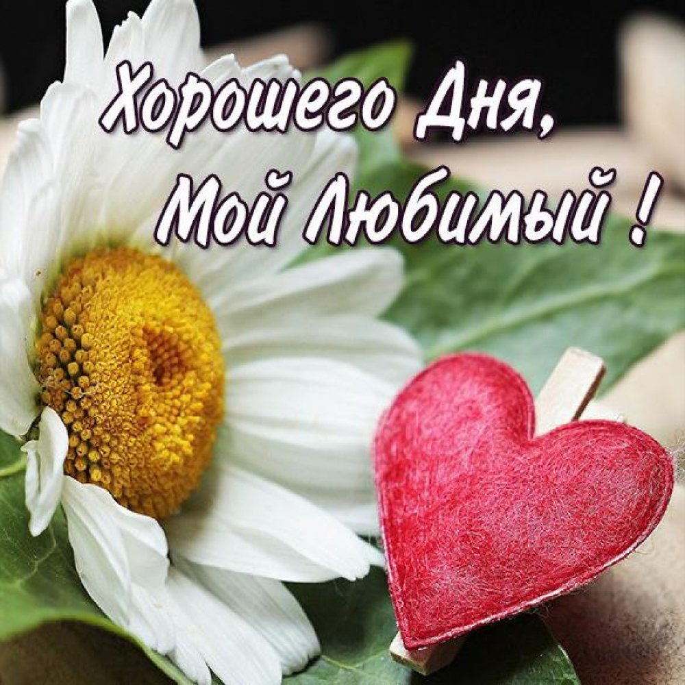 Открытки с добрым утром му