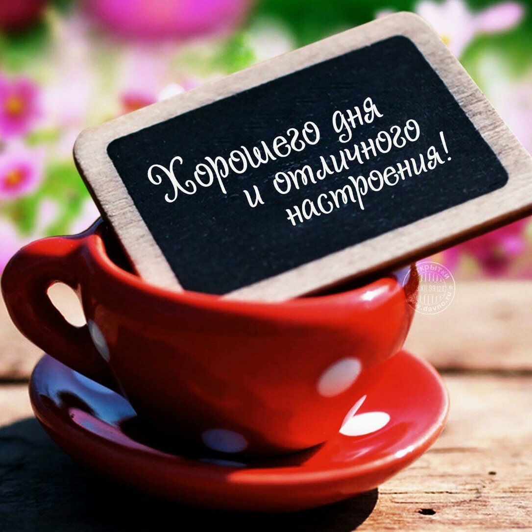 Хорошего дня любимый