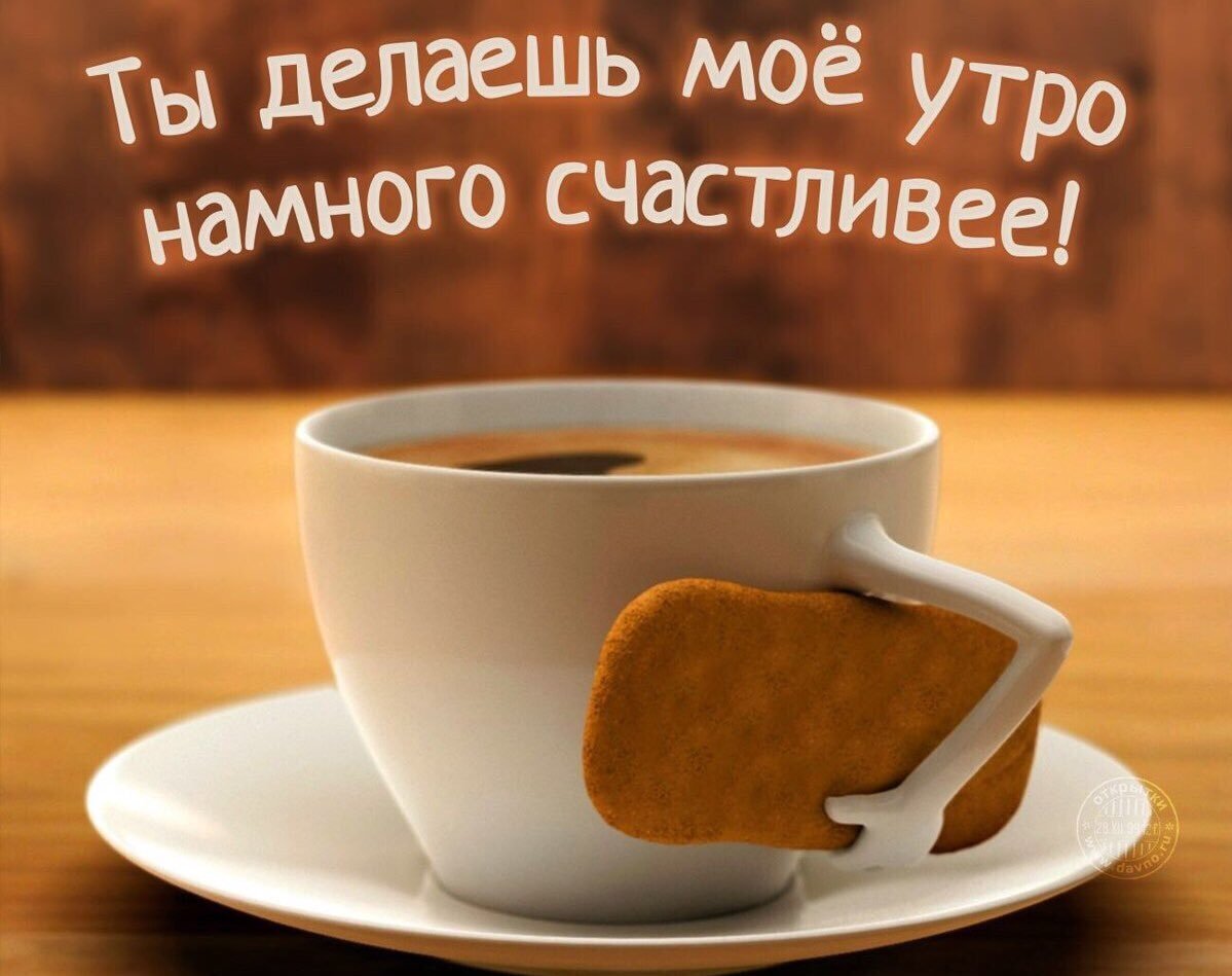 Удачного дня