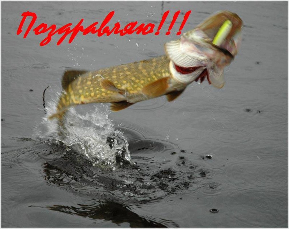 Всемирный день рыболовства