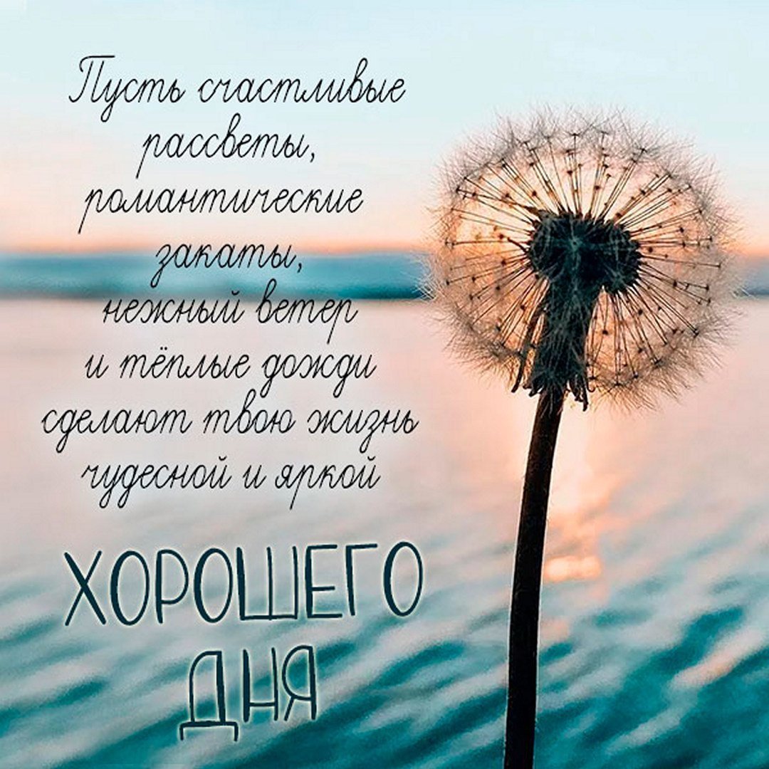 Доброе утро цитаты