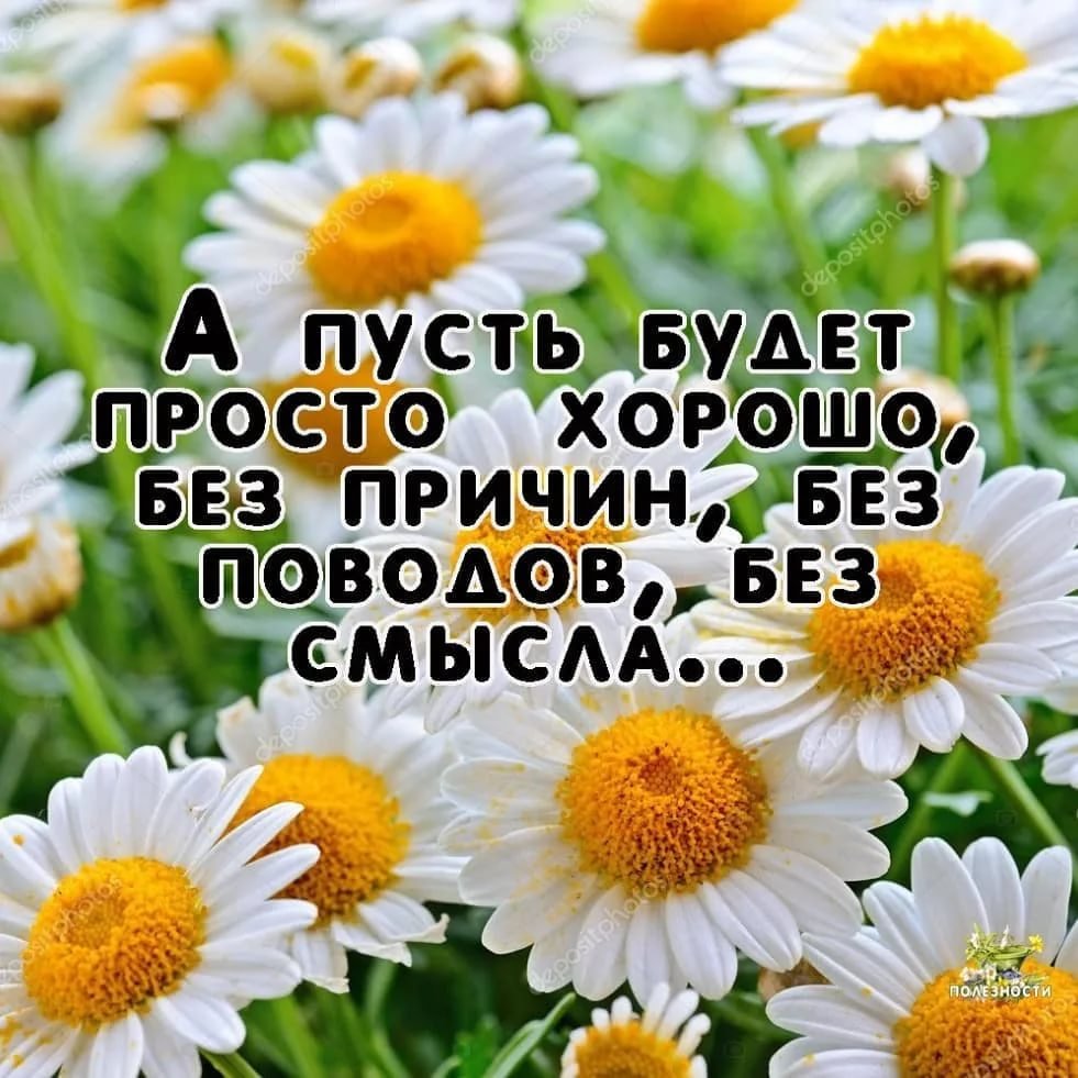 Весенние цветы в лучах солнца