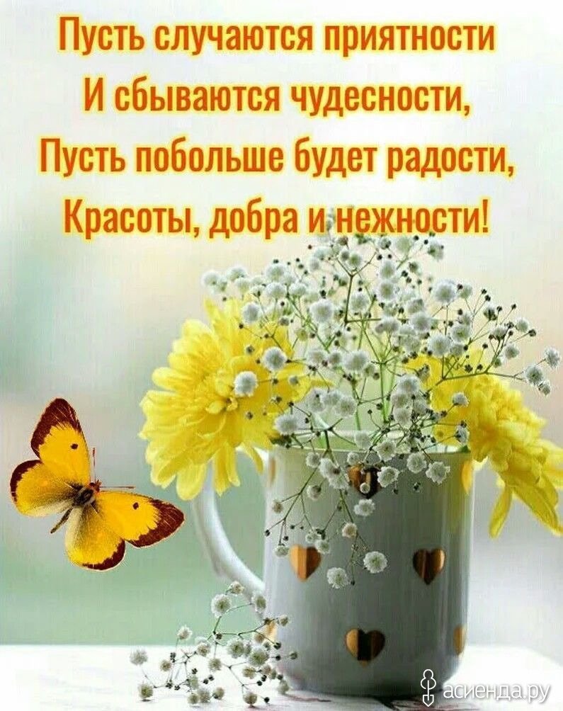 Пожелания на каждый день