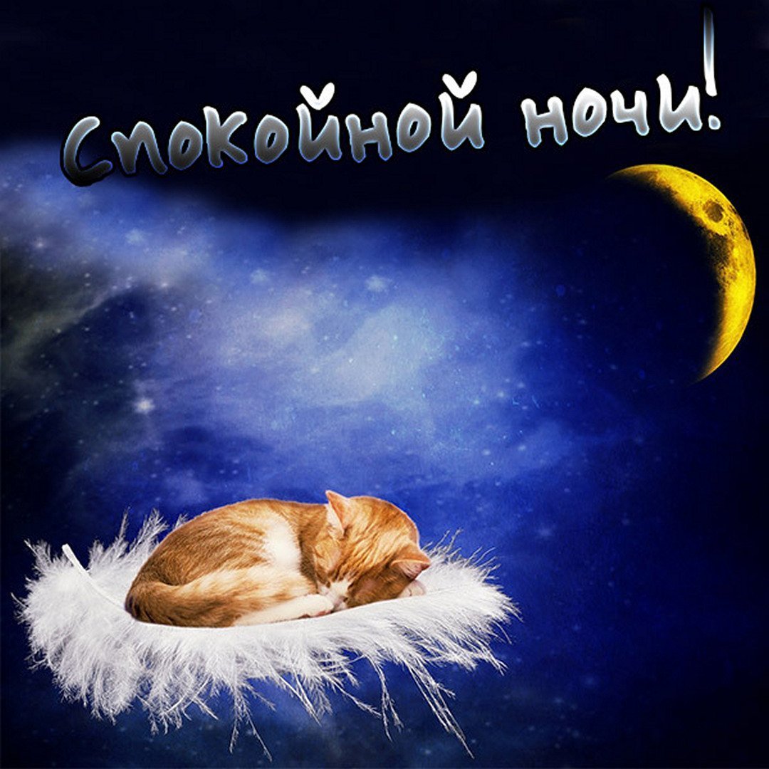 Доброй ночи спокойного сна