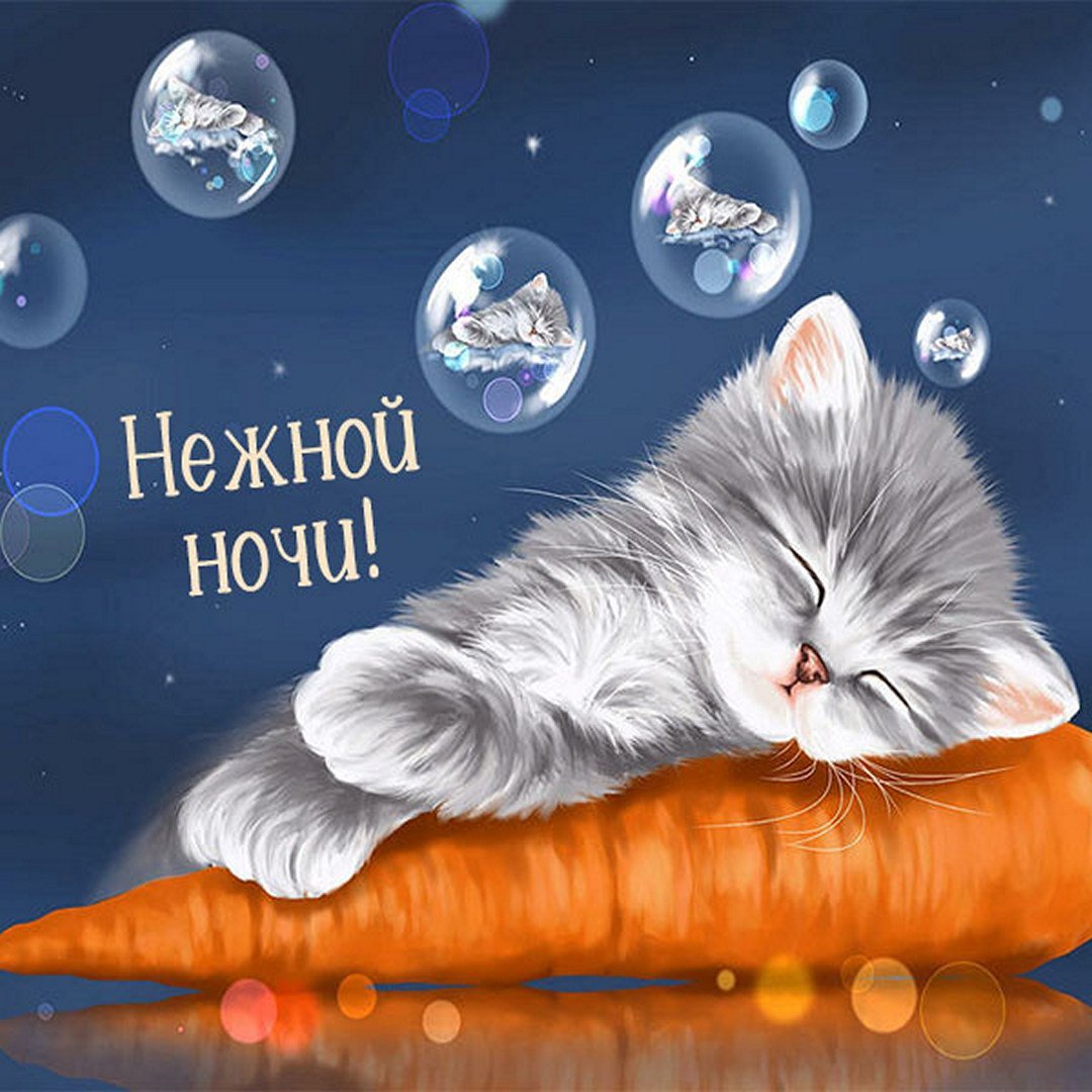 Котенок. Спокойной ночи!