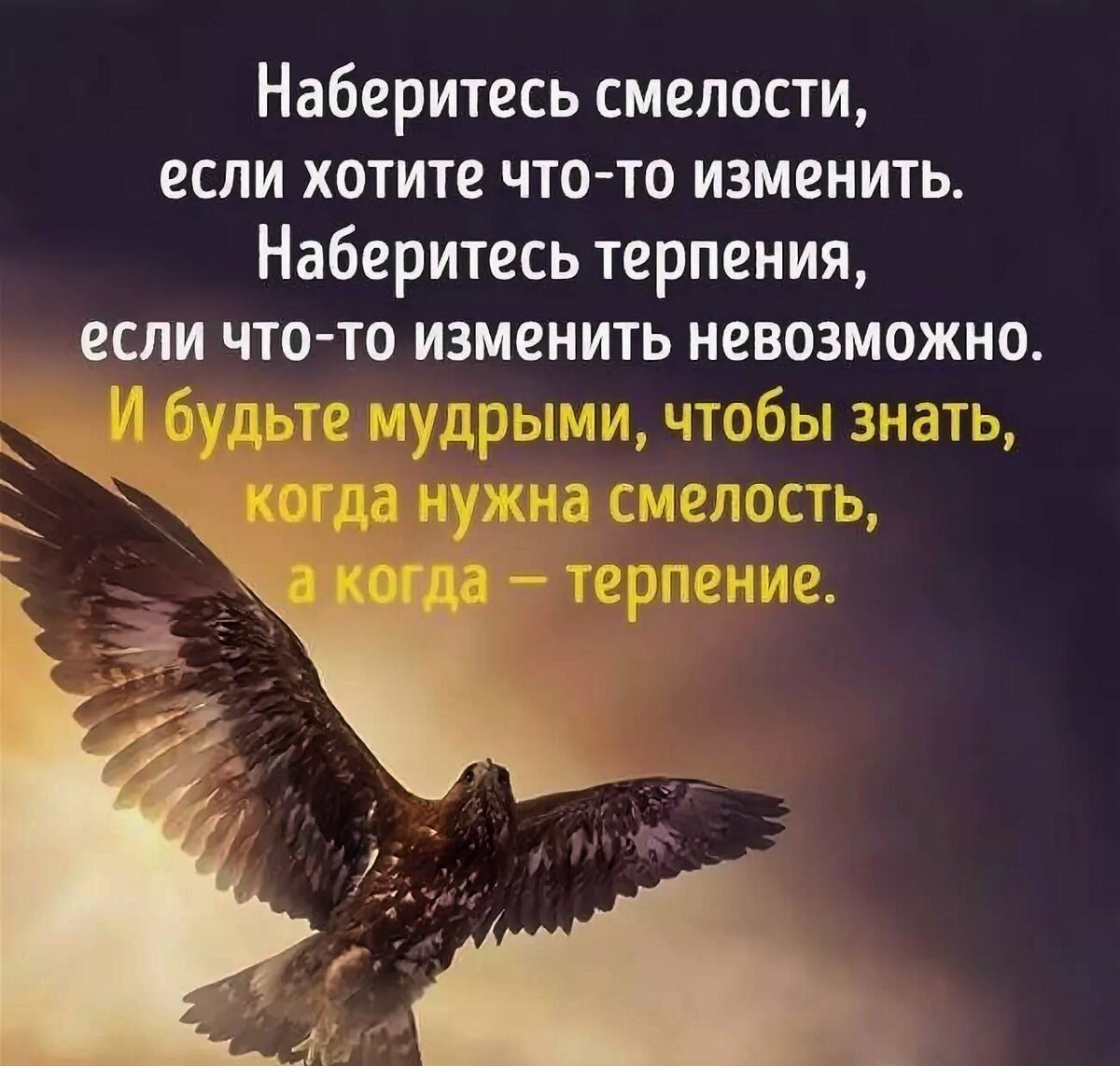 Красивые цитаты