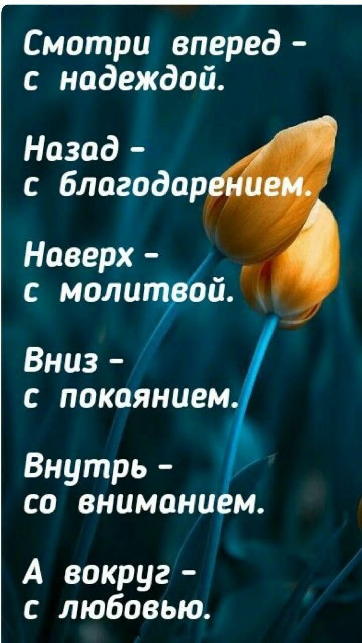 Мудрые пожелания мужчине