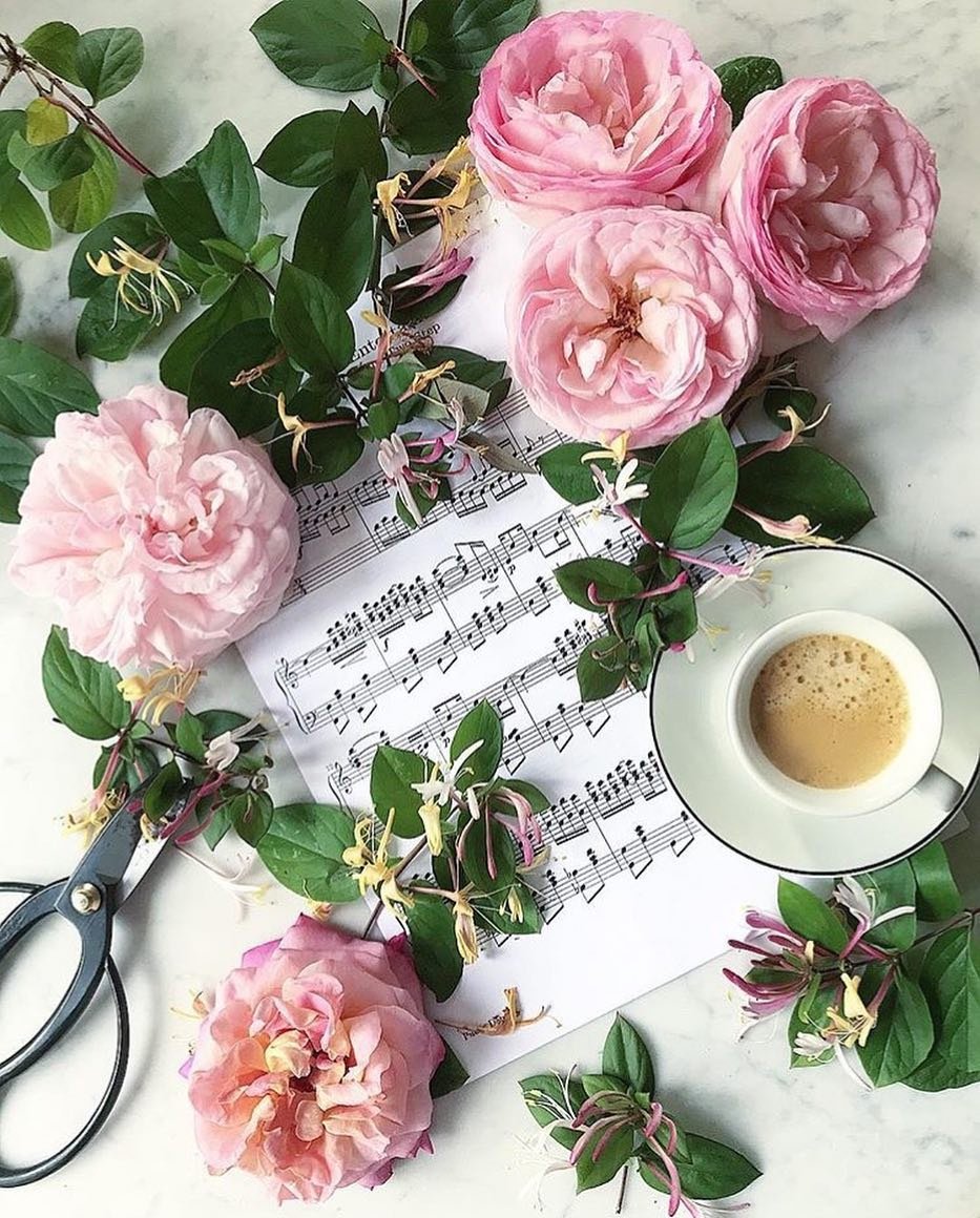 С добрым зимним утром понедельника