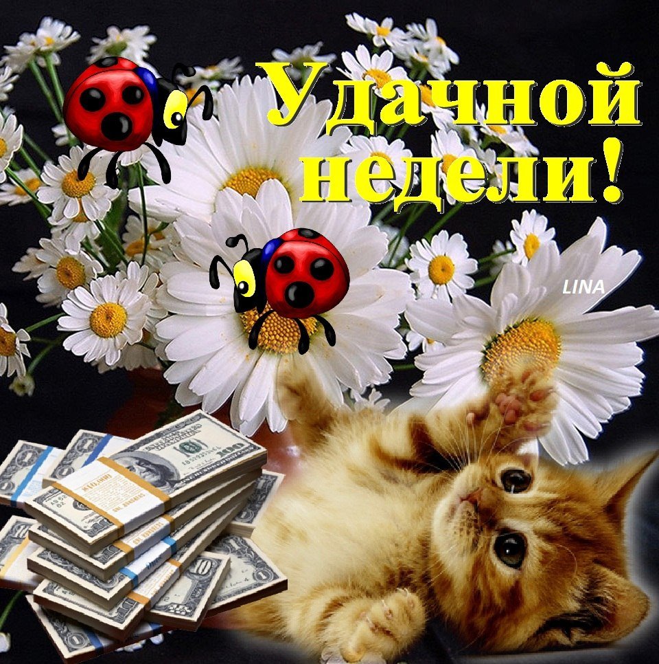 Доброе утро здоровья и счастья