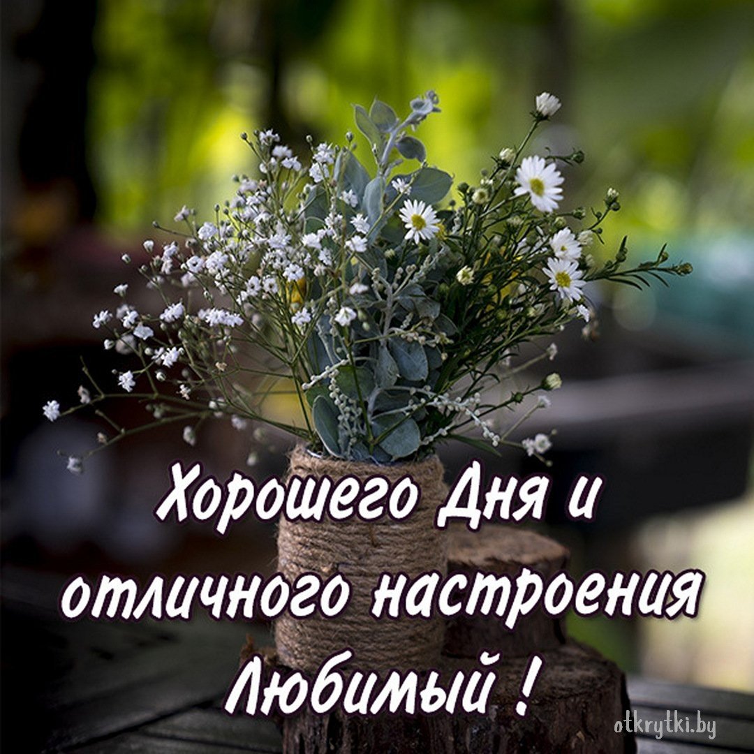 Родной отличный. Хорошего дня любимый. Доброго дня любимому. Хорошего дня и отличного настроения мужчине любимому. Чудесное настроение.