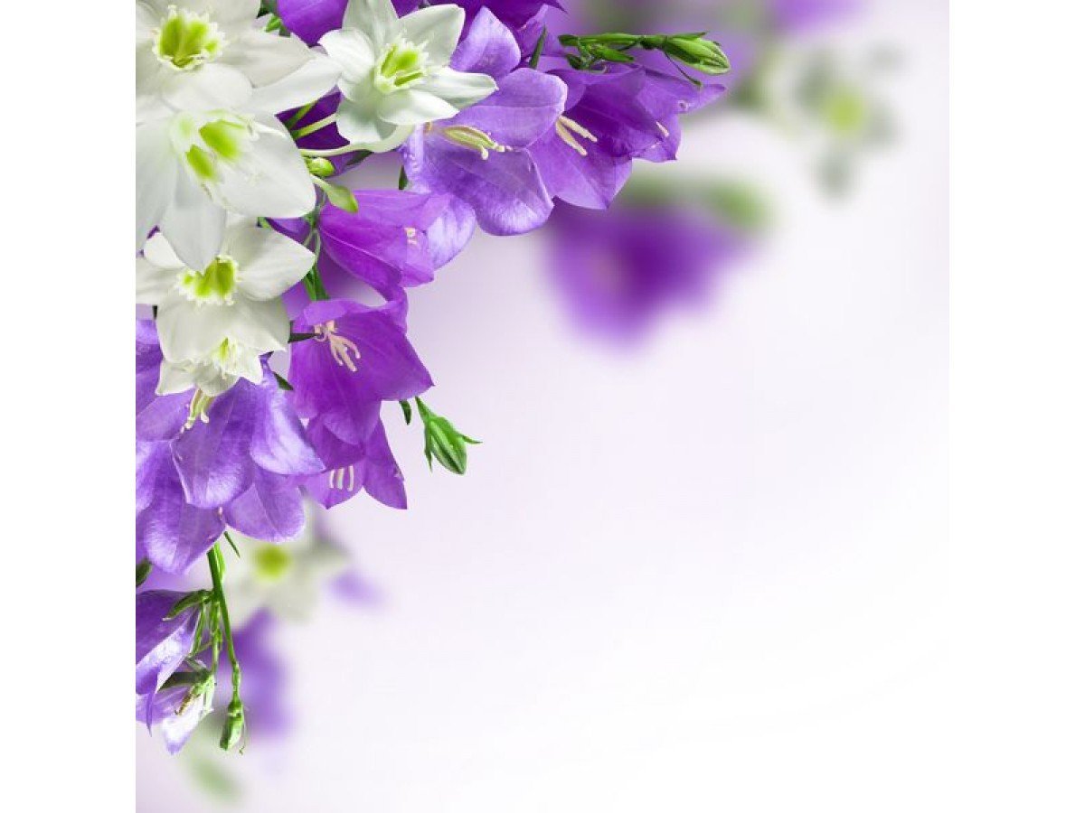 Доброе утро благословенного дня