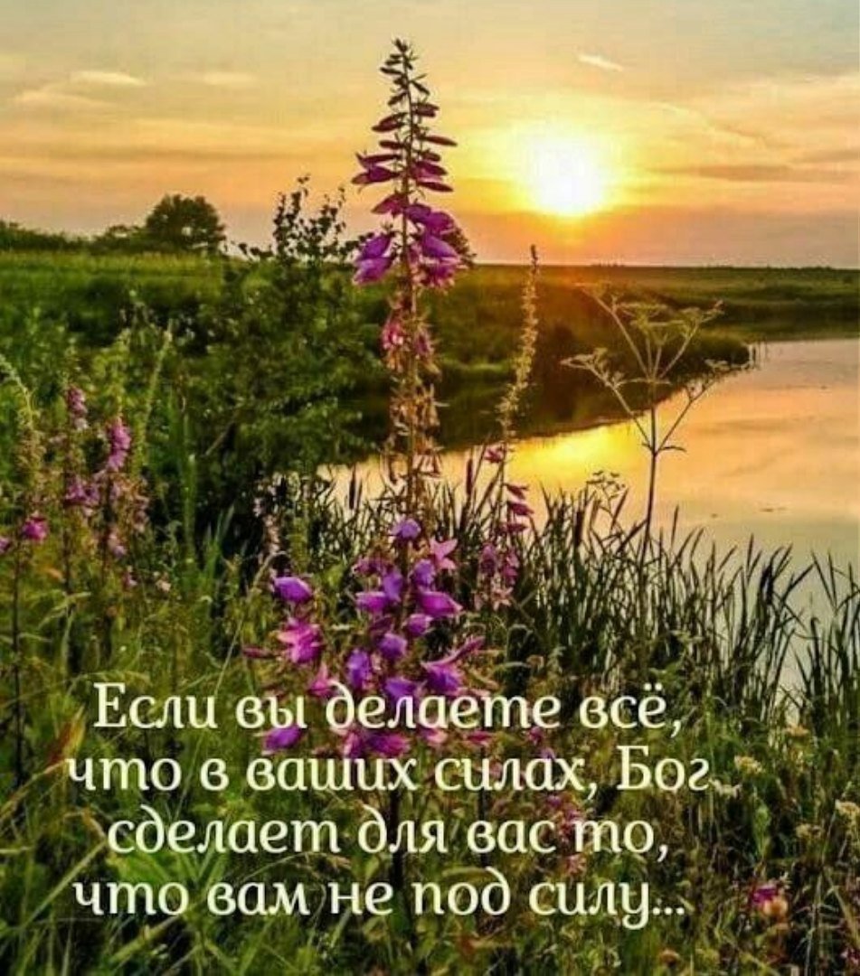 Мудрые пожелания с добрым утром