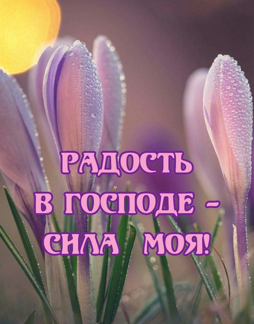 Благословенная суббота