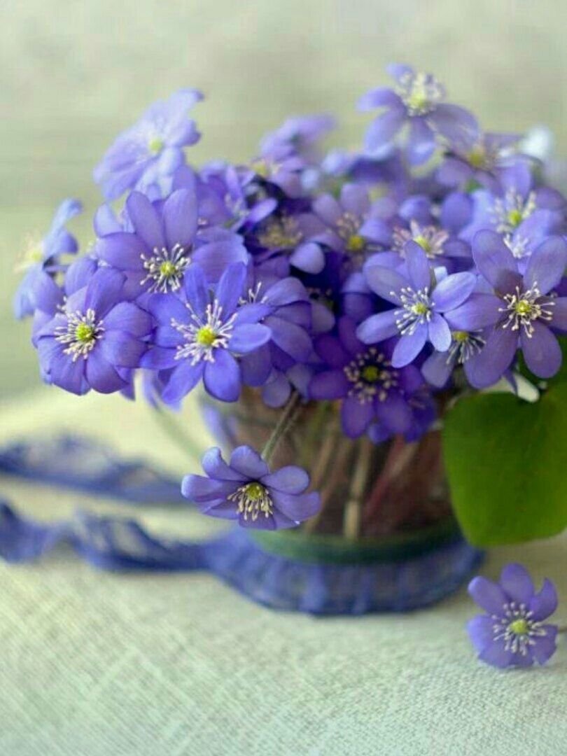 Добрые пожелания на каждый день