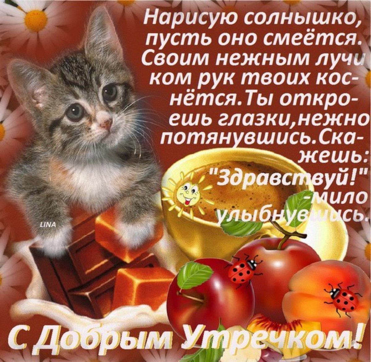 С добрым утром девушке