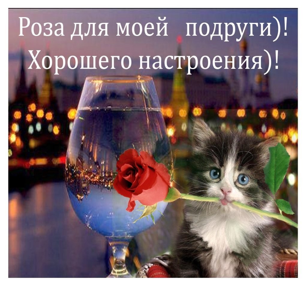 Хорошего вечера и отличного настроения