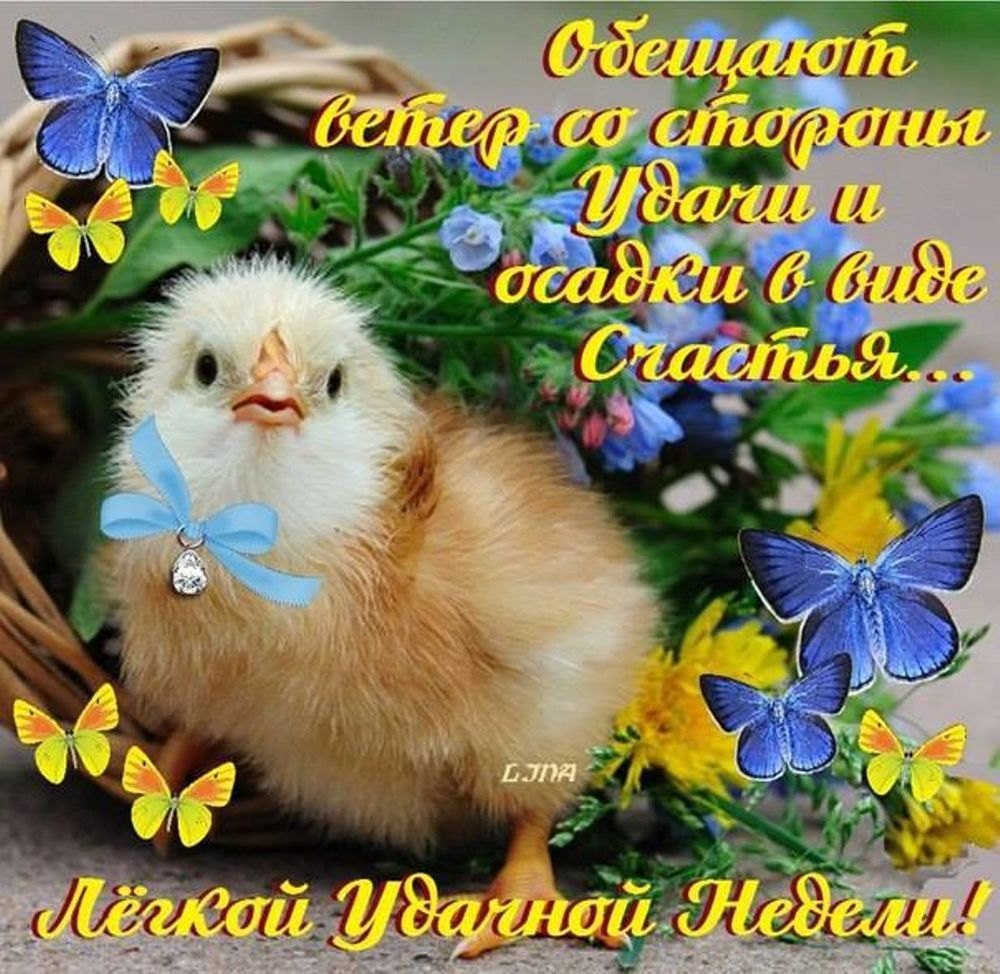 Продуктивного дня и хорошего настроения