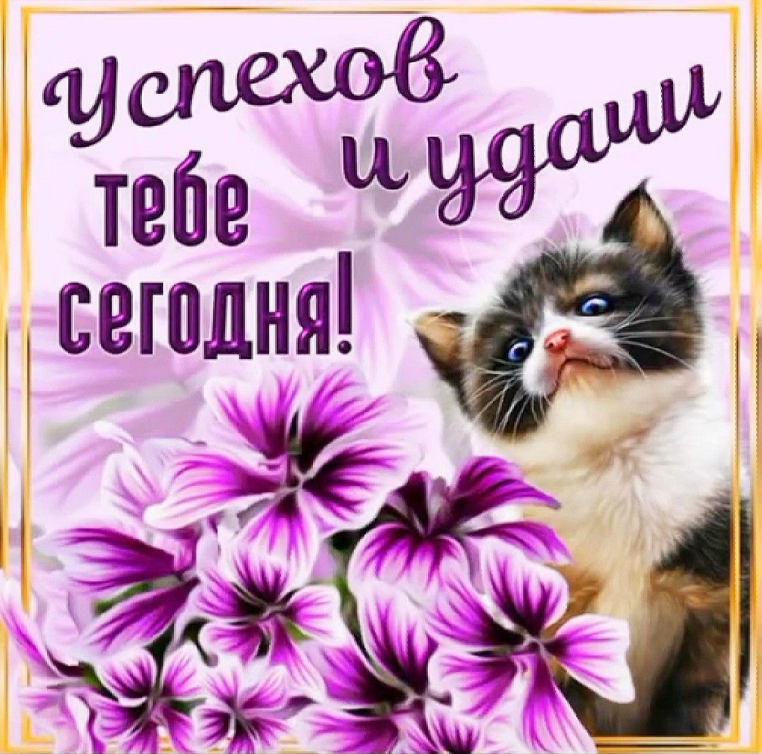 Позитивные пожелания на день