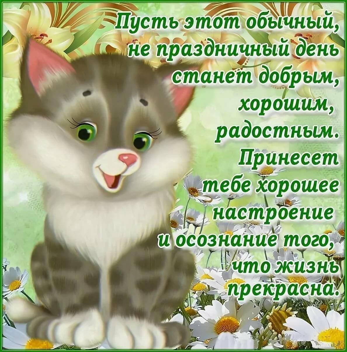 Цветочки для милашки