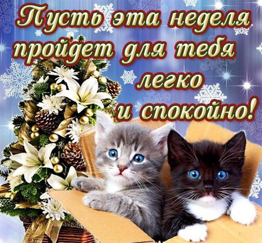 Спокойнойночки сыночек