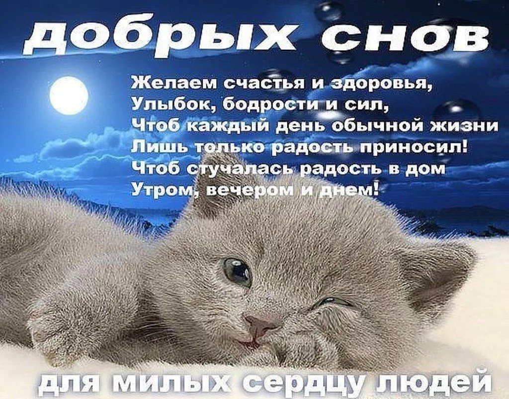 Пожелания спокойной ночи короткие прикольные