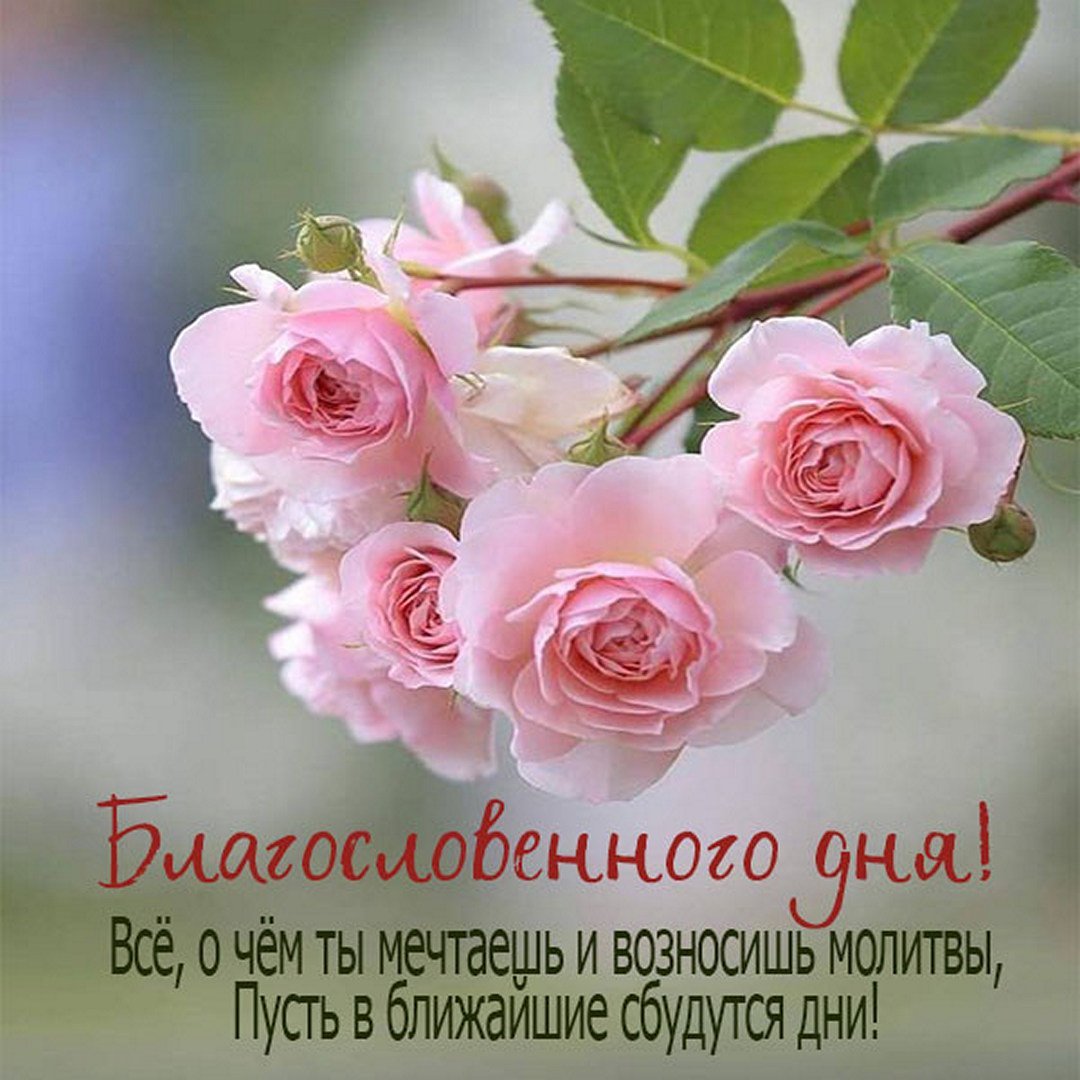 Прекрасный день