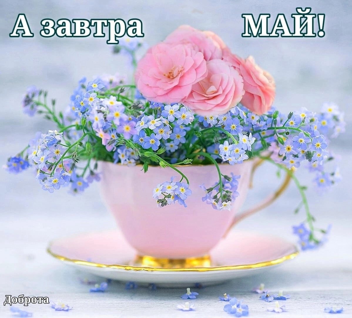 С добрым утром цветы пожелания