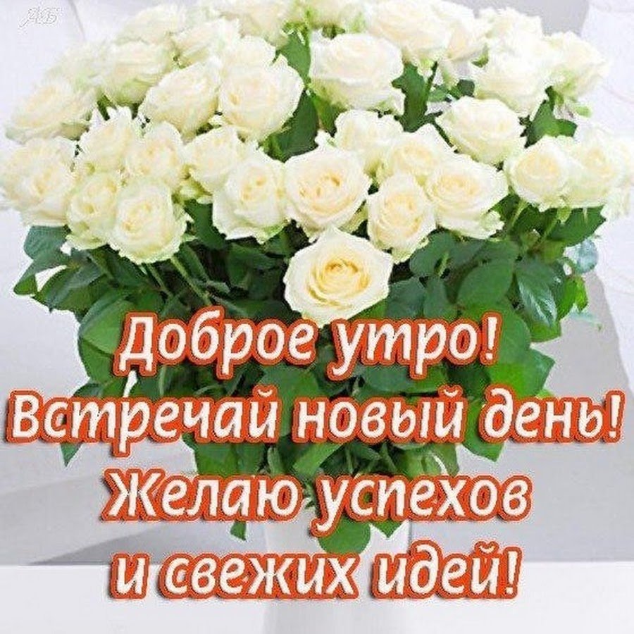 Доброе утро счастливого дня