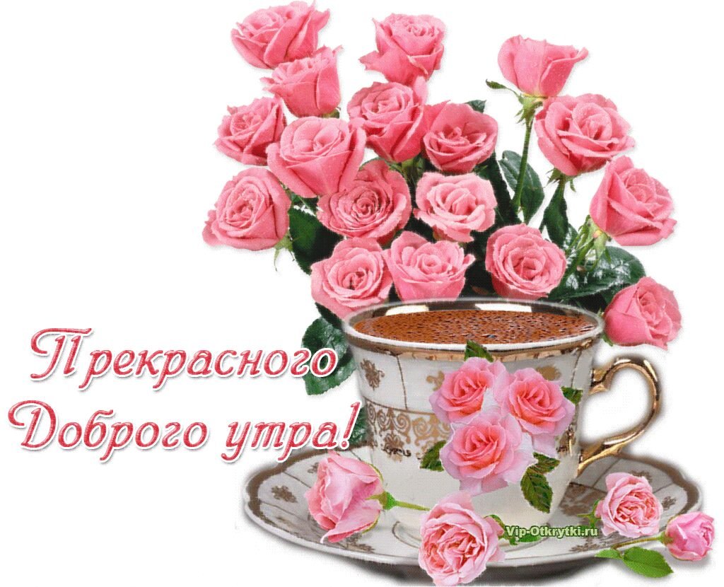 Доброе утро прекрасного дня и отличного настроения