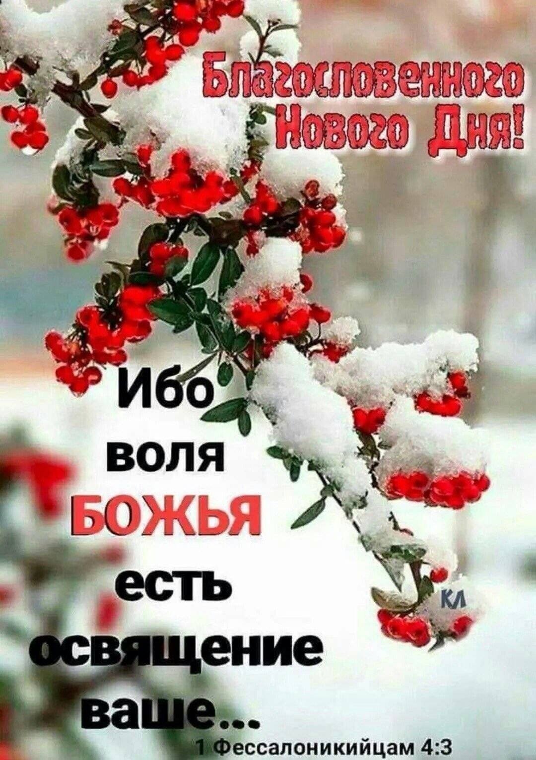 Доброго снежного дня