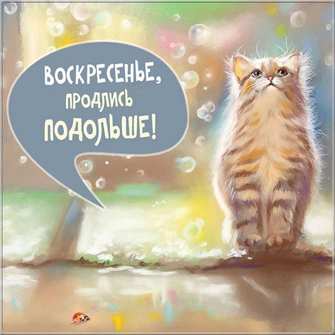 Дорого утра и хорошего настроения