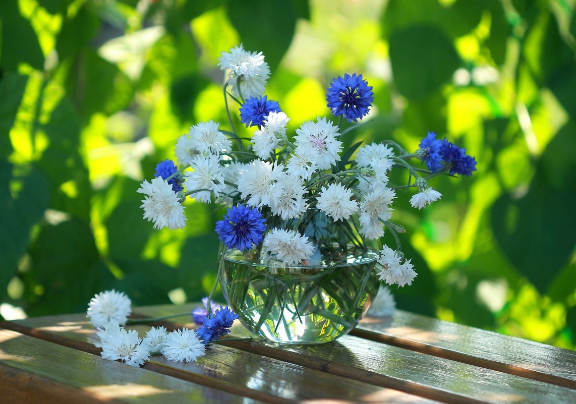 Лето васильки