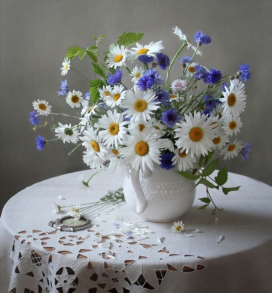 Роскошные полевые цветы