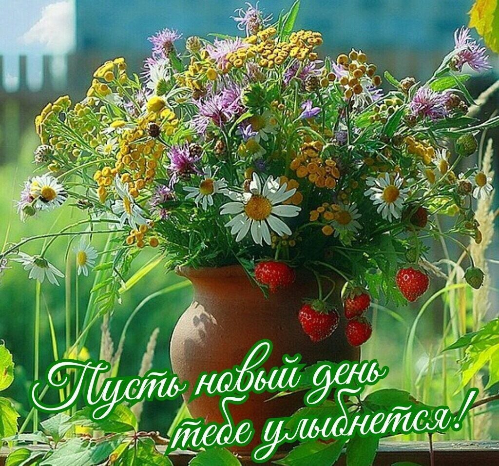 Нежный букет полевых цветов