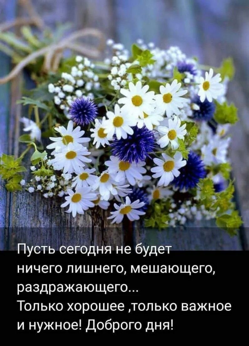 Корзина полевых цветов