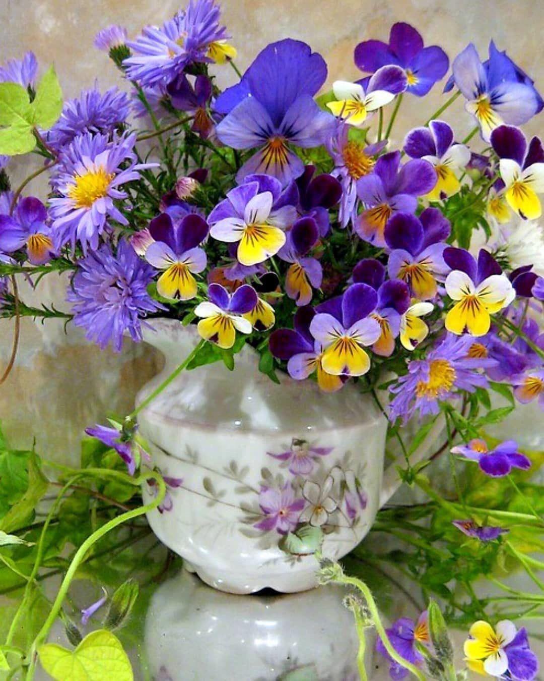 Полевые цветы с пожеланиями