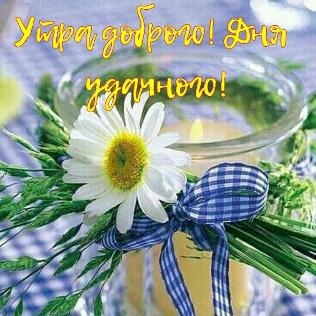 Добрый вечер смромашками