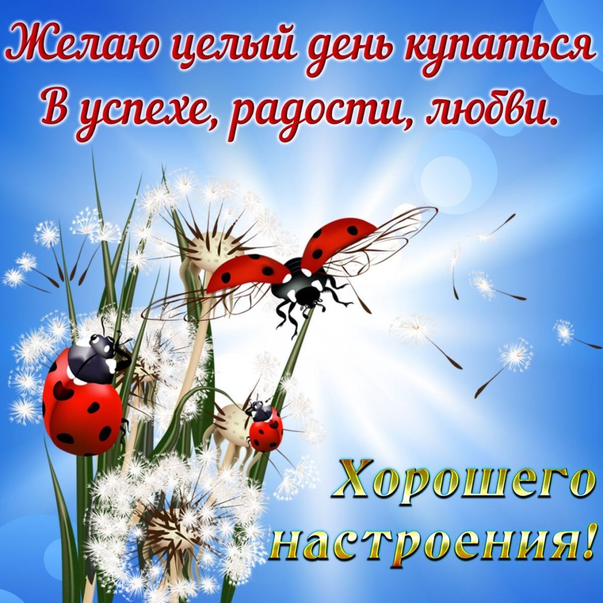 Пусть день начнется с доброты